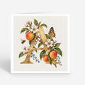 PP-GRE-6x6-ENVELOPE - Square Greetings Cards Mockup