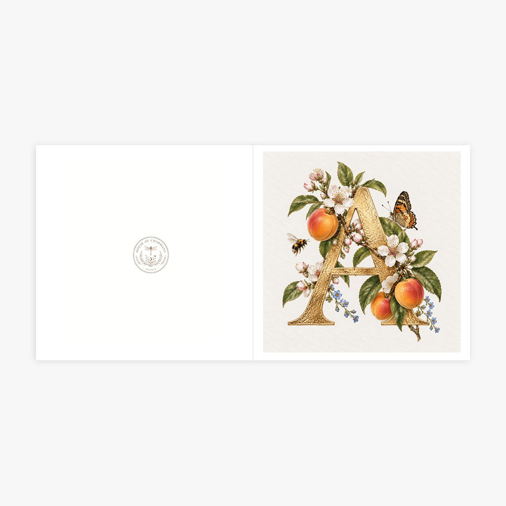 PP-GRE-6x6-ENVELOPE - Square Greetings Cards Mockup