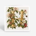 PP-GRE-6x6-ENVELOPE - Square Greetings Cards Mockup