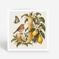 PP-GRE-6x6-ENVELOPE - Square Greetings Cards Mockup