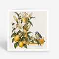 PP-GRE-6x6-ENVELOPE - Square Greetings Cards Mockup