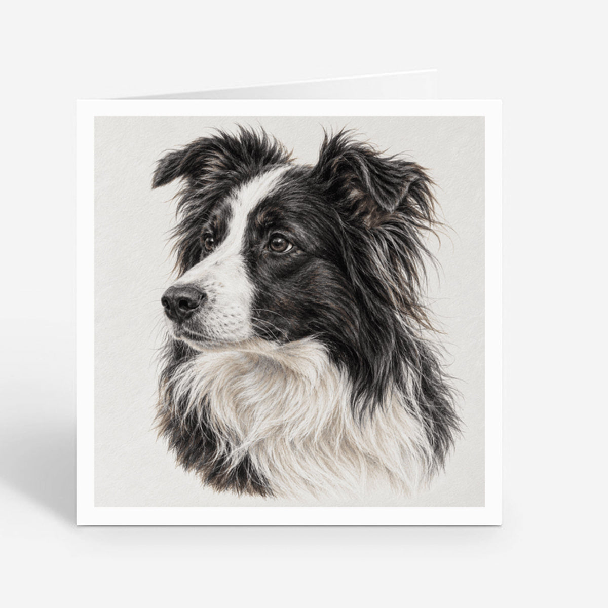 PP-GRE-6x6-ENVELOPE - Square Greetings Cards Mockup