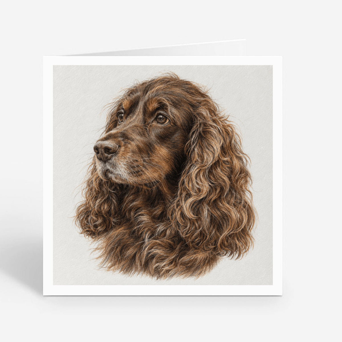 PP-GRE-6x6-ENVELOPE - Square Greetings Cards Mockup