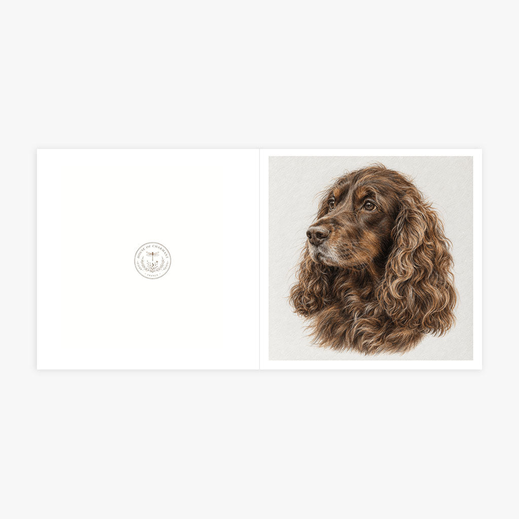 PP-GRE-6x6-ENVELOPE - Square Greetings Cards Mockup