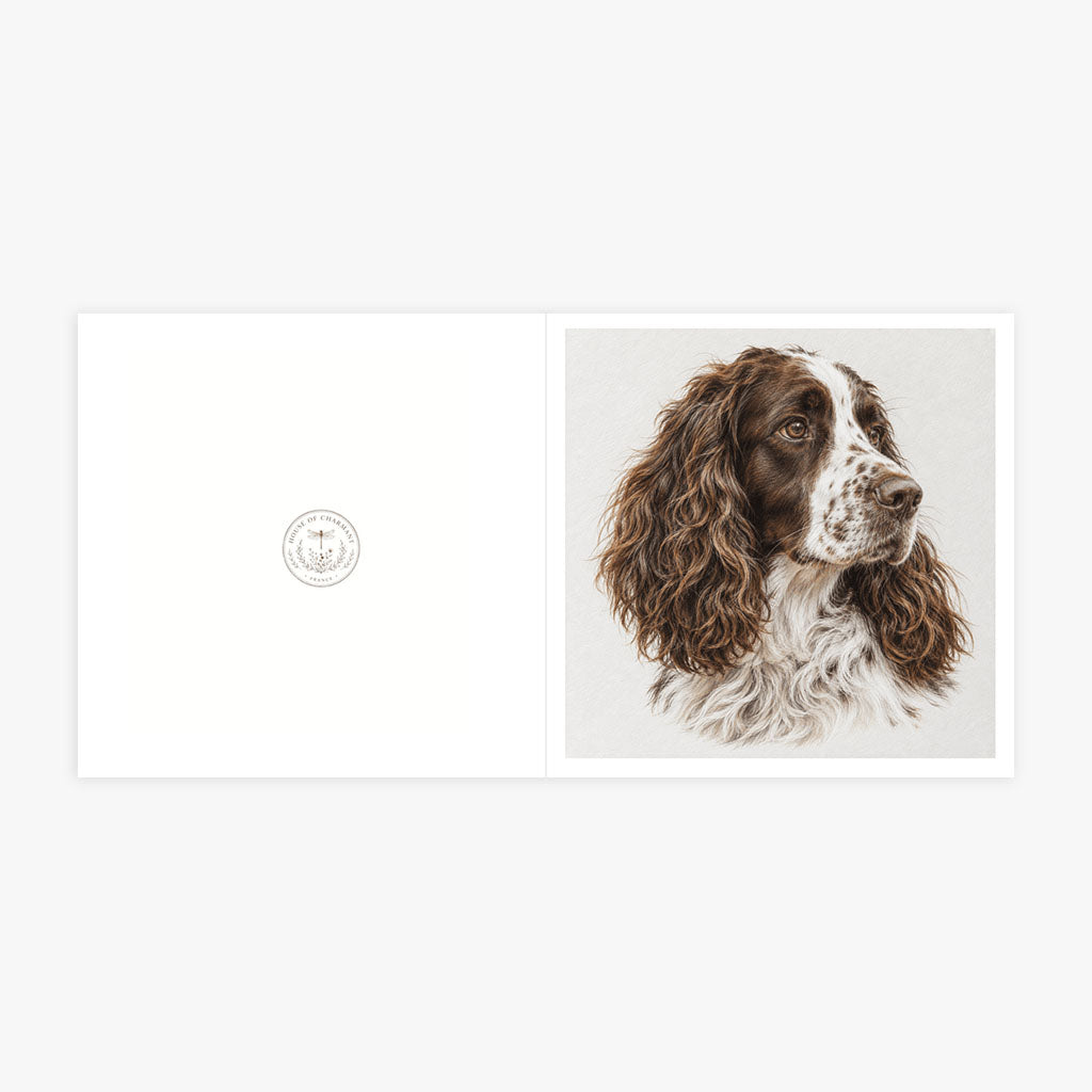 PP-GRE-6x6-ENVELOPE - Square Greetings Cards Mockup