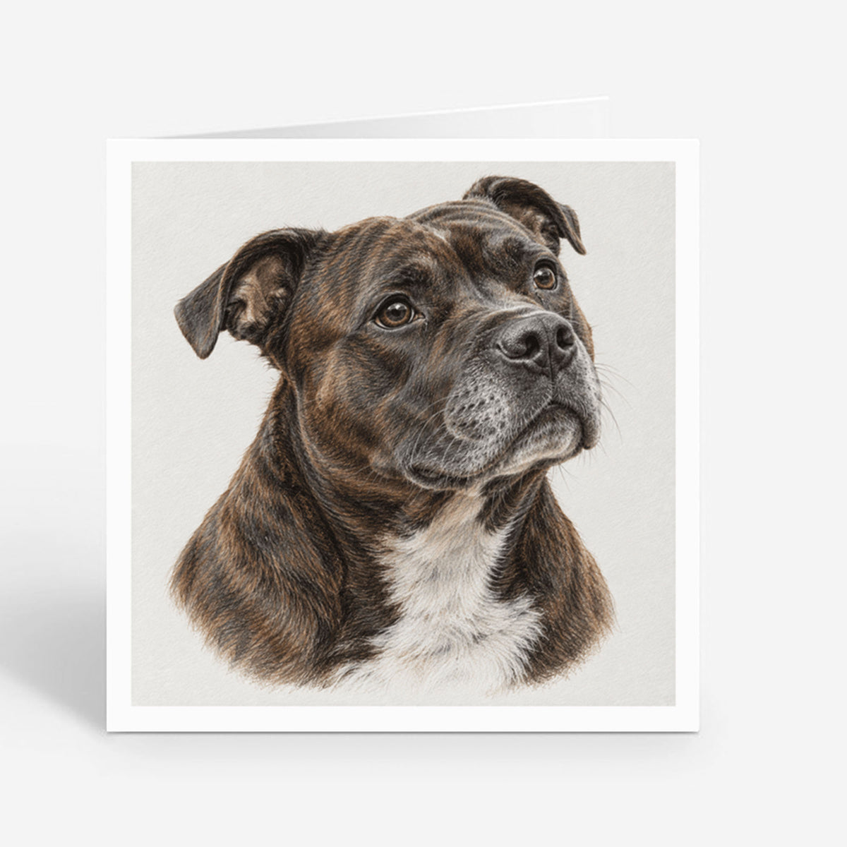 PP-GRE-6x6-ENVELOPE - Square Greetings Cards Mockup