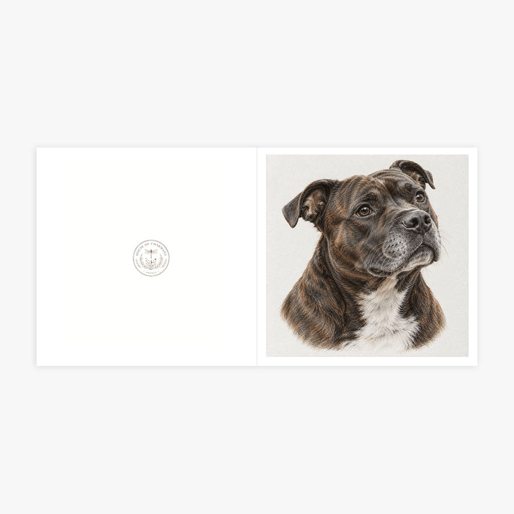 PP-GRE-6x6-ENVELOPE - Square Greetings Cards Mockup