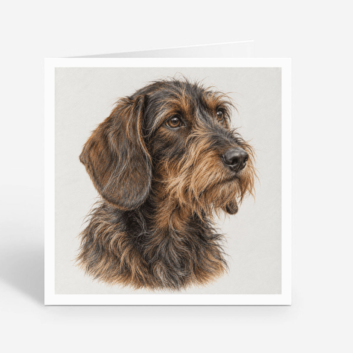 PP-GRE-6x6-ENVELOPE - Square Greetings Cards Mockup