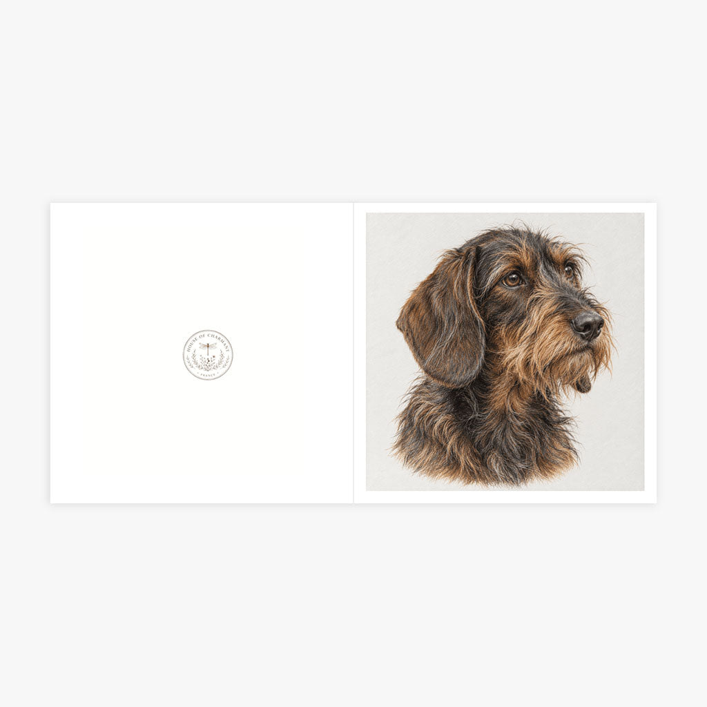 PP-GRE-6x6-ENVELOPE - Square Greetings Cards Mockup