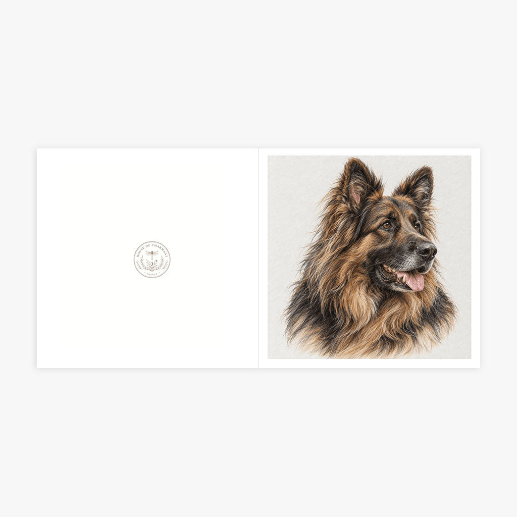 PP-GRE-6x6-ENVELOPE - Square Greetings Cards Mockup