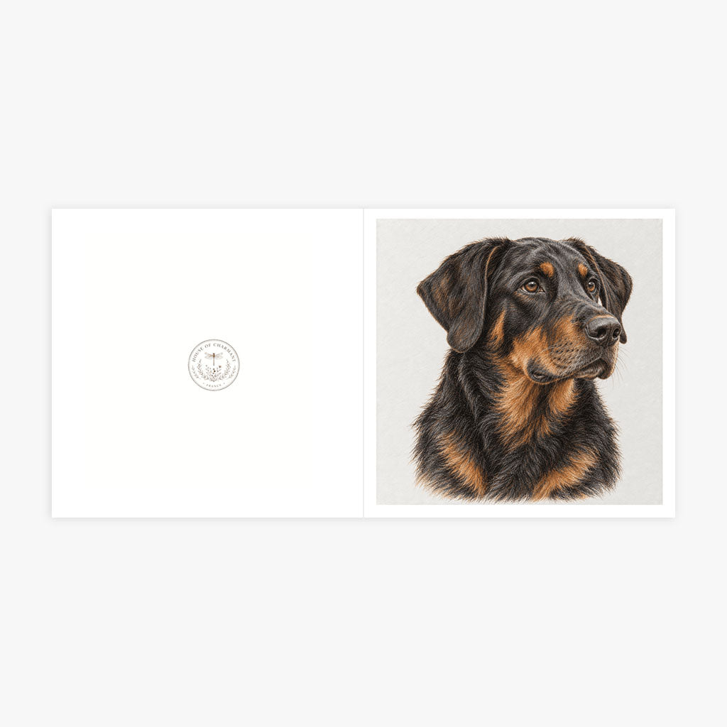 PP-GRE-6x6-ENVELOPE - Square Greetings Cards Mockup