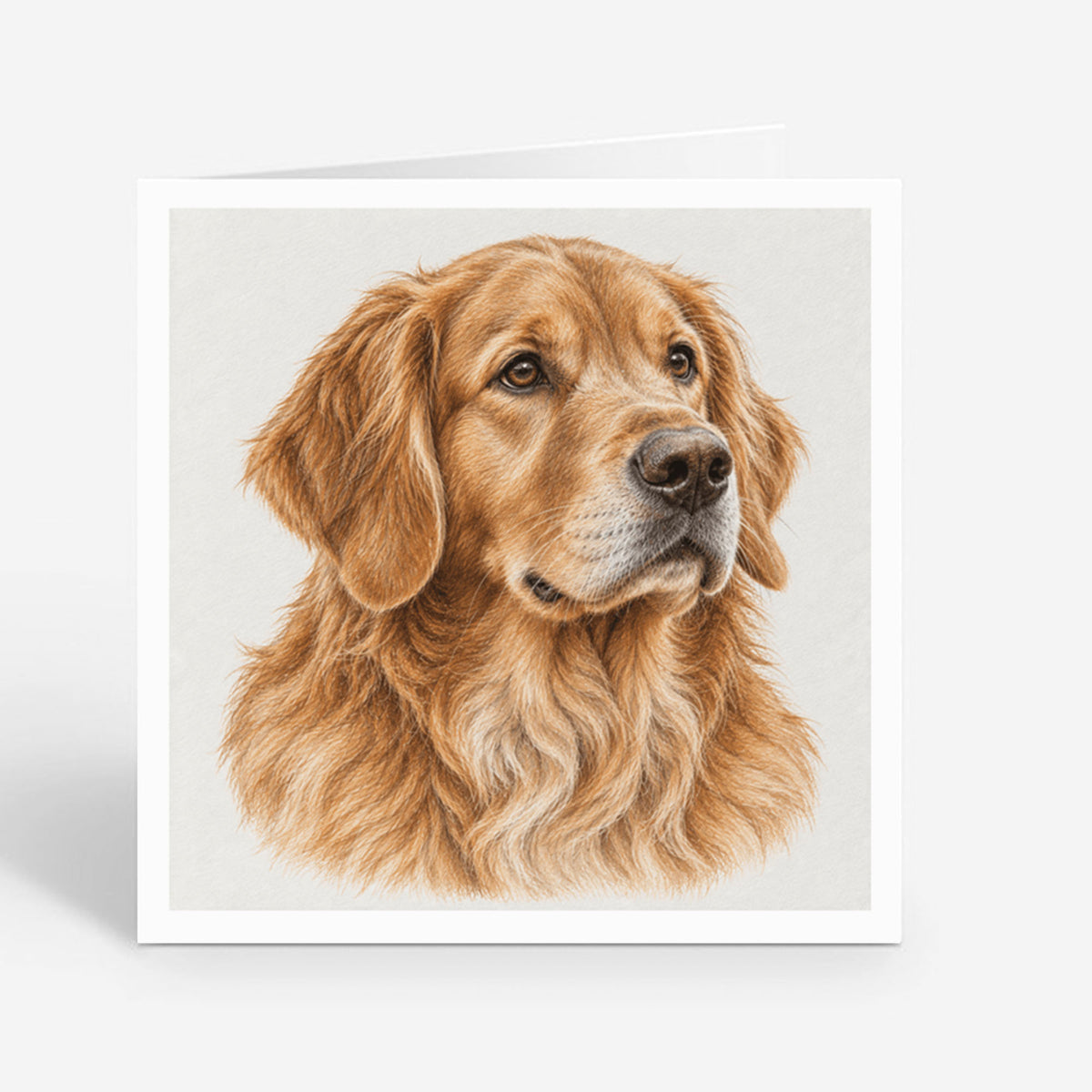 PP-GRE-6x6-ENVELOPE - Square Greetings Cards Mockup