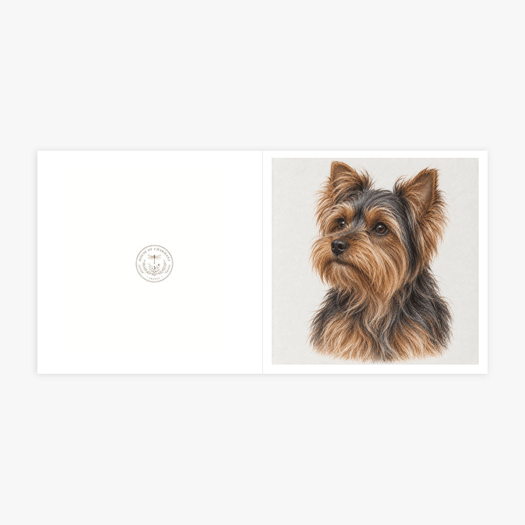 PP-GRE-6x6-ENVELOPE - Square Greetings Cards Mockup