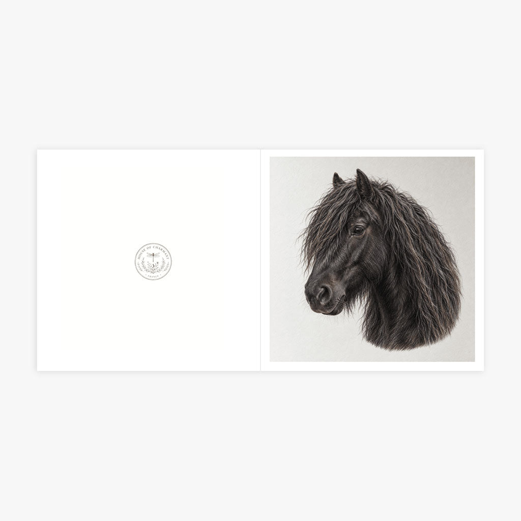 PP-GRE-6x6-ENVELOPE - Square Greetings Cards Mockup