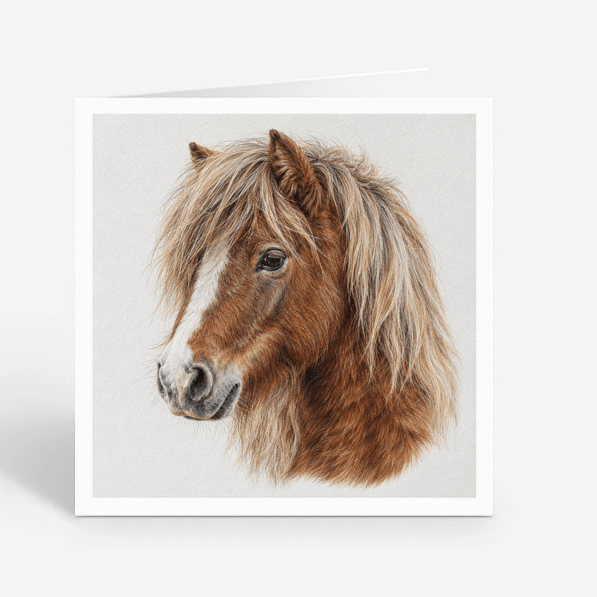PP-GRE-6x6-ENVELOPE - Square Greetings Cards Mockup