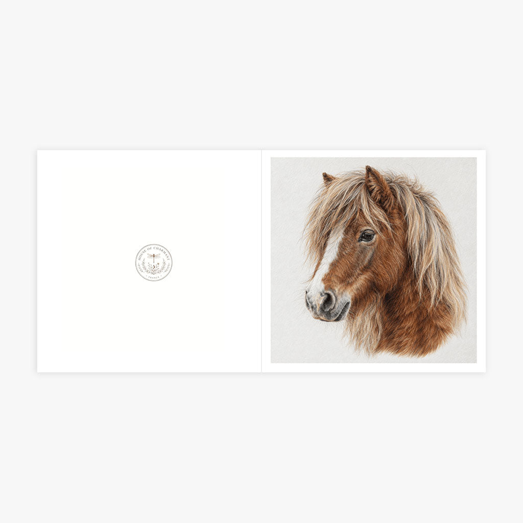 PP-GRE-6x6-ENVELOPE - Square Greetings Cards Mockup