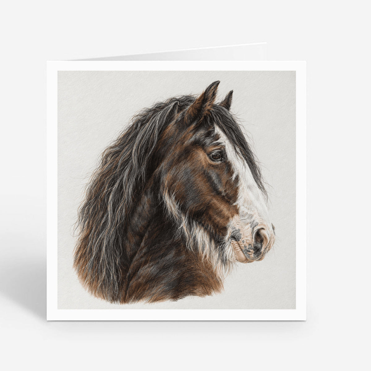 PP-GRE-6x6-ENVELOPE - Square Greetings Cards Mockup