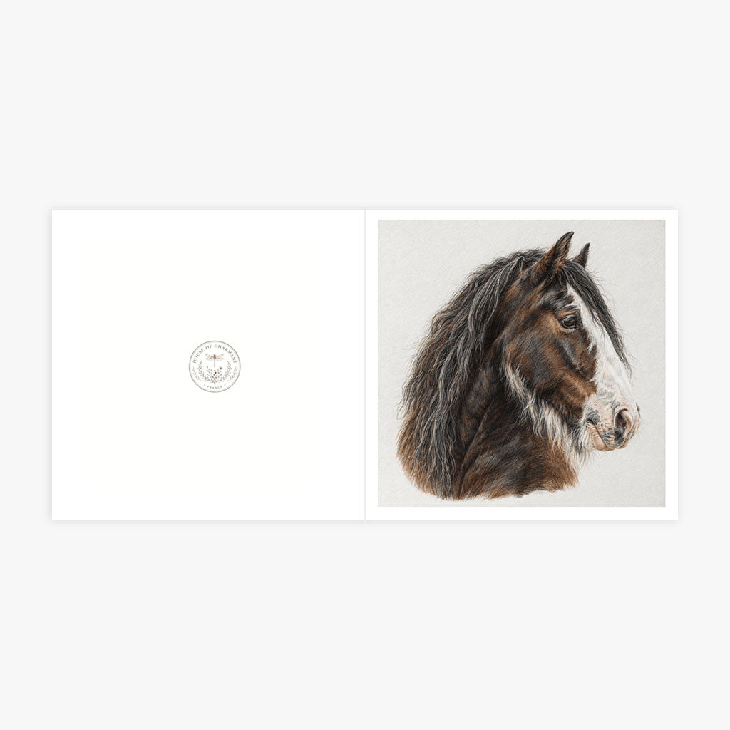 PP-GRE-6x6-ENVELOPE - Square Greetings Cards Mockup