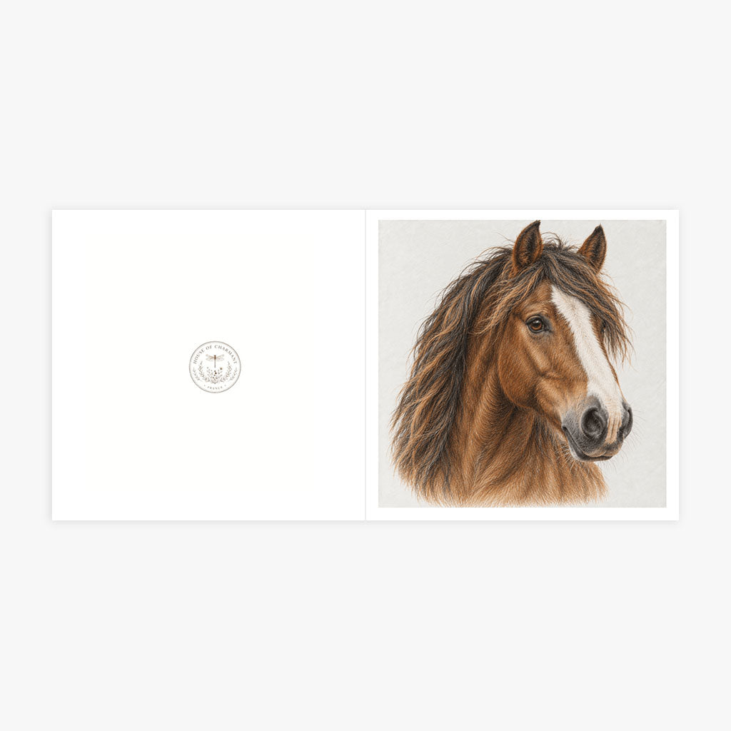 PP-GRE-6x6-ENVELOPE - Square Greetings Cards Mockup