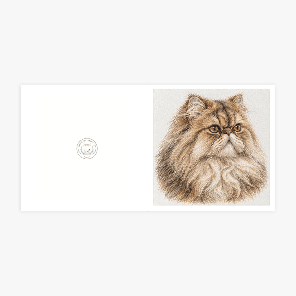 PP-GRE-6x6-ENVELOPE - Square Greetings Cards Mockup