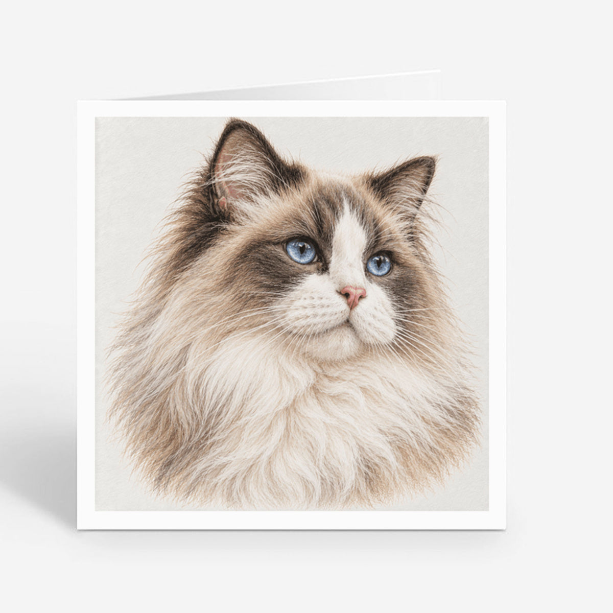 PP-GRE-6x6-ENVELOPE - Square Greetings Cards Mockup