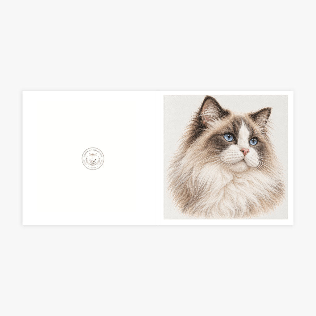 PP-GRE-6x6-ENVELOPE - Square Greetings Cards Mockup
