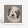 PP-GRE-6x6-ENVELOPE - Square Greetings Cards Mockup