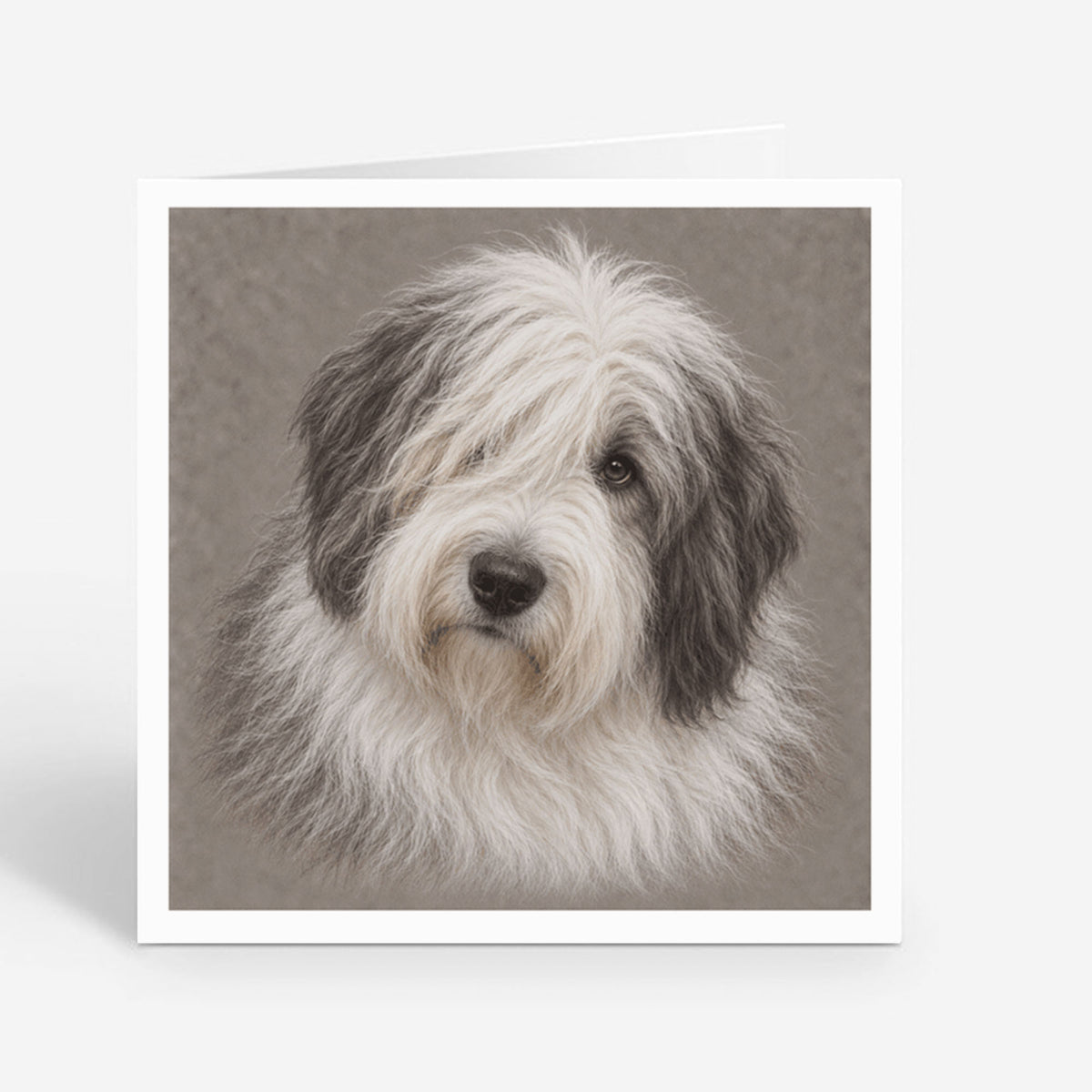 PP-GRE-6x6-ENVELOPE - Square Greetings Cards Mockup