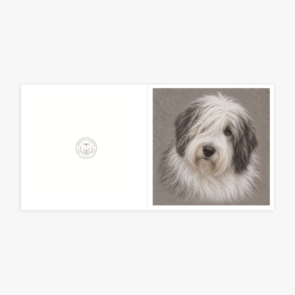 PP-GRE-6x6-ENVELOPE - Square Greetings Cards Mockup