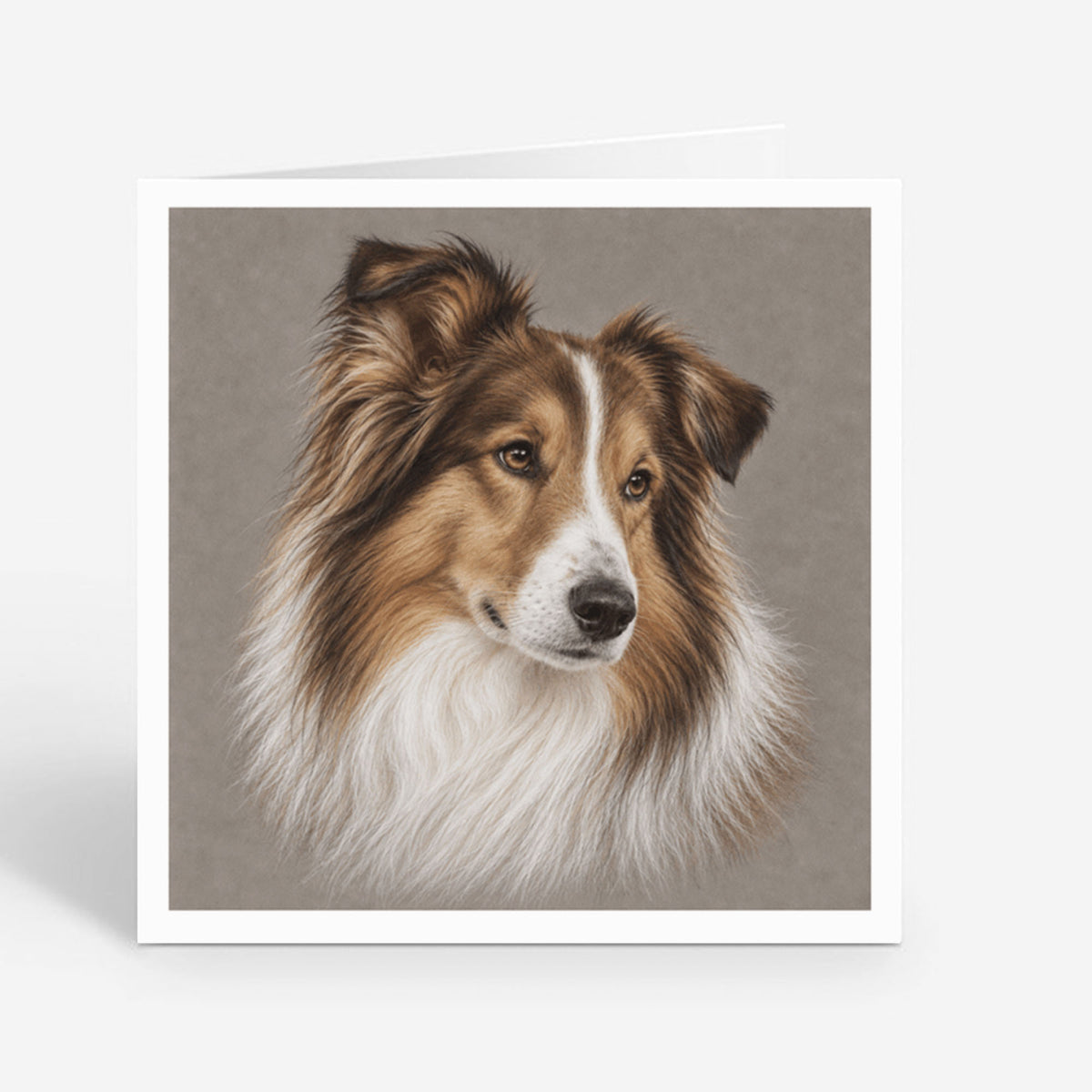 PP-GRE-6x6-ENVELOPE - Square Greetings Cards Mockup