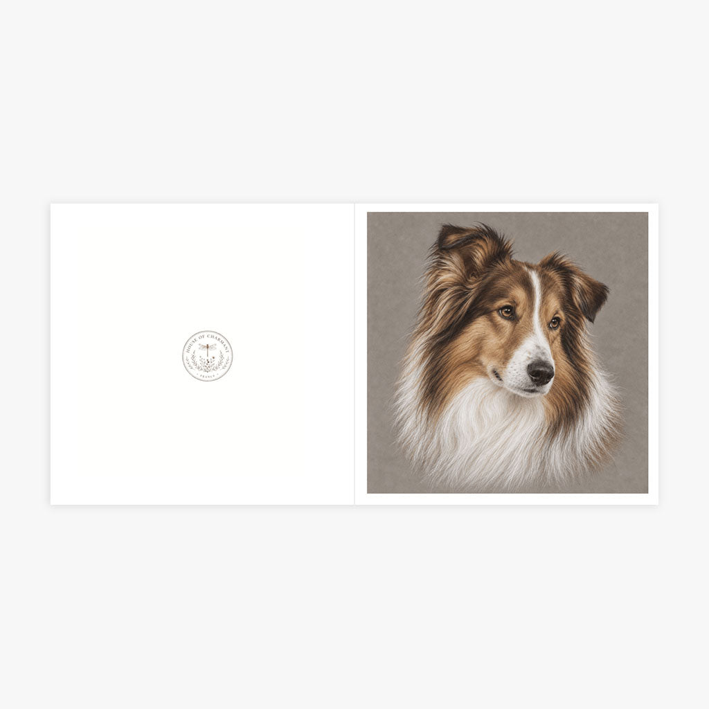 PP-GRE-6x6-ENVELOPE - Square Greetings Cards Mockup