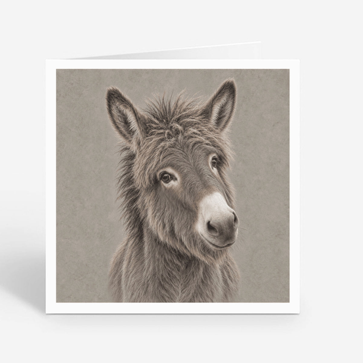 PP-GRE-6x6-ENVELOPE - Square Greetings Cards Mockup