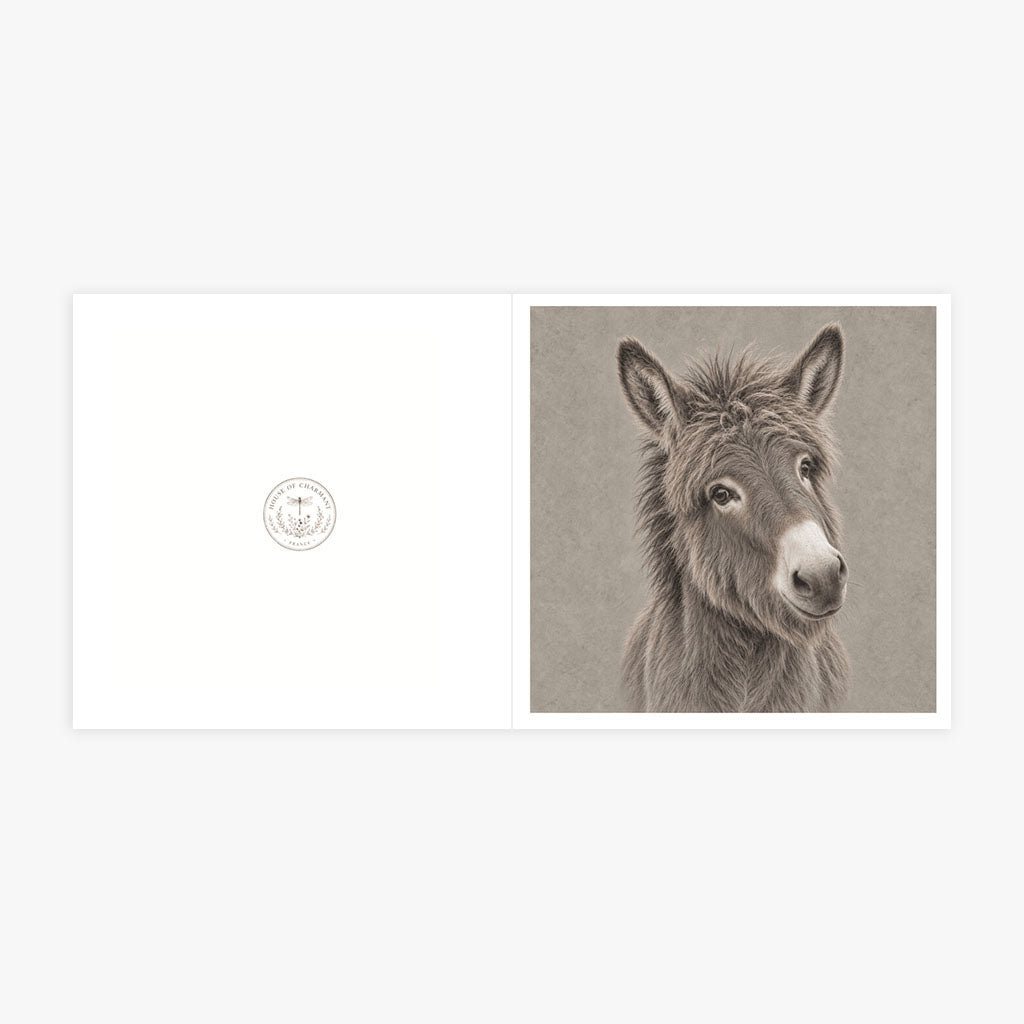 PP-GRE-6x6-ENVELOPE - Square Greetings Cards Mockup