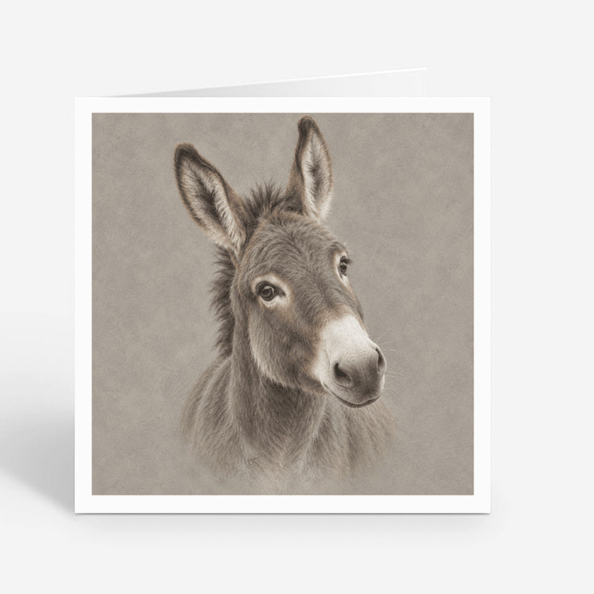 PP-GRE-6x6-ENVELOPE - Square Greetings Cards Mockup