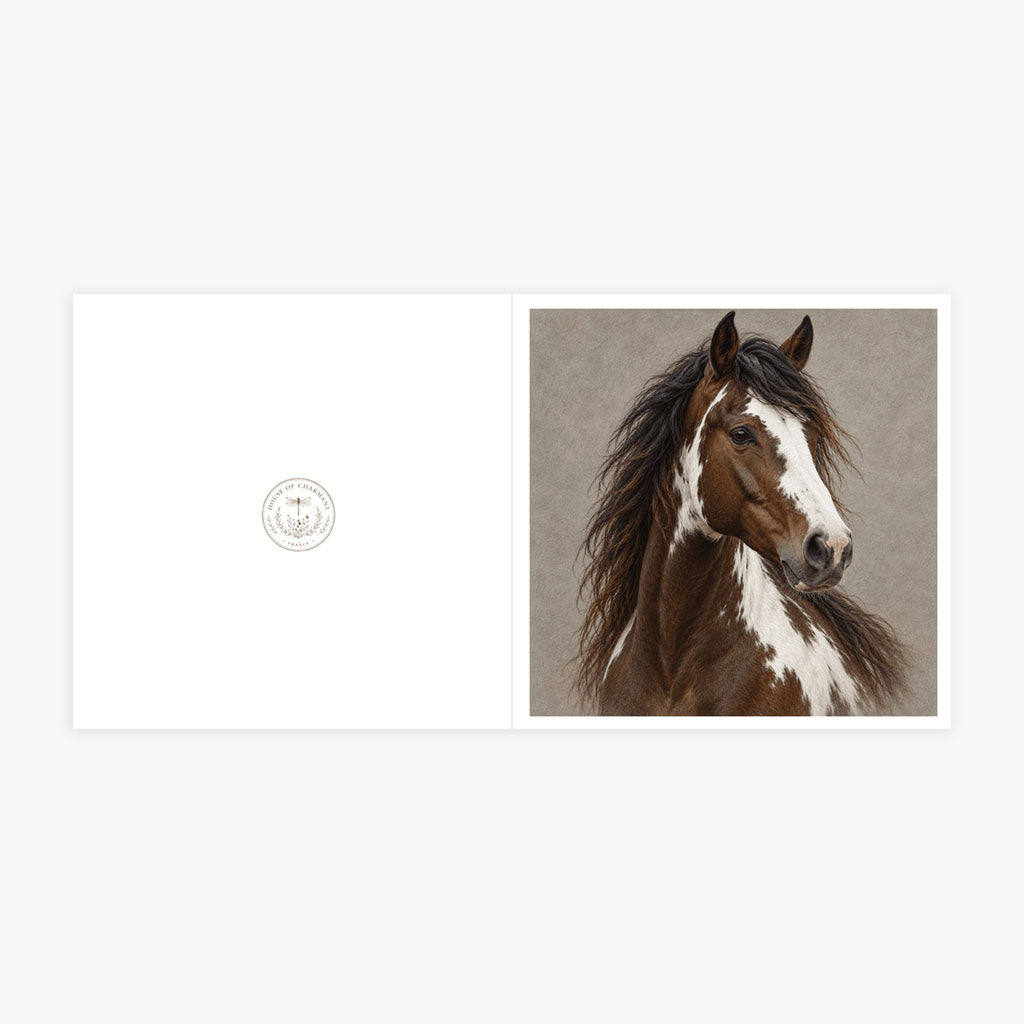 PP-GRE-6x6-ENVELOPE - Square Greetings Cards Mockup