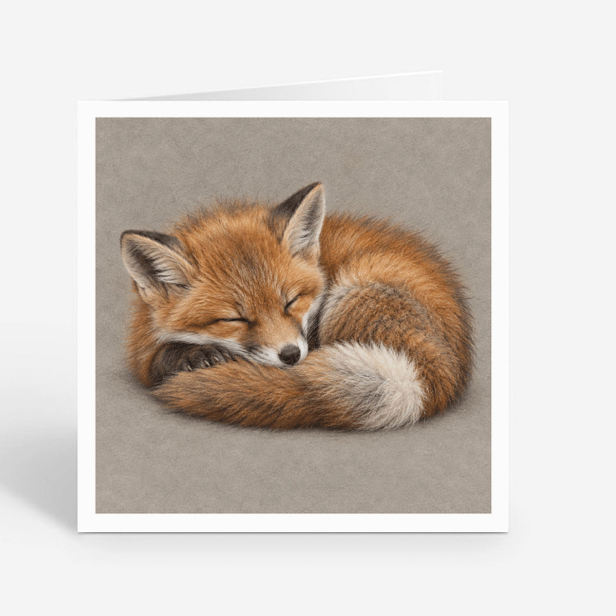 PP-GRE-6x6-ENVELOPE - Square Greetings Cards Mockup