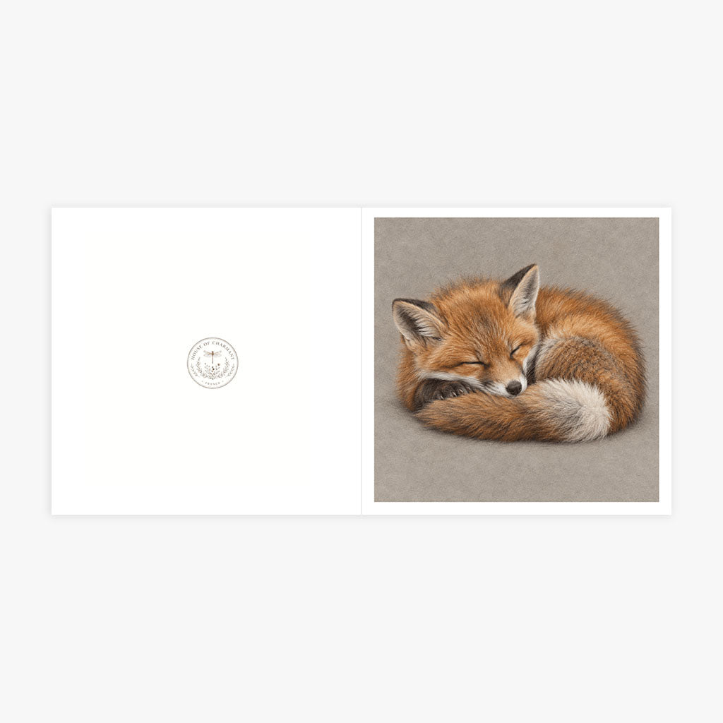 PP-GRE-6x6-ENVELOPE - Square Greetings Cards Mockup