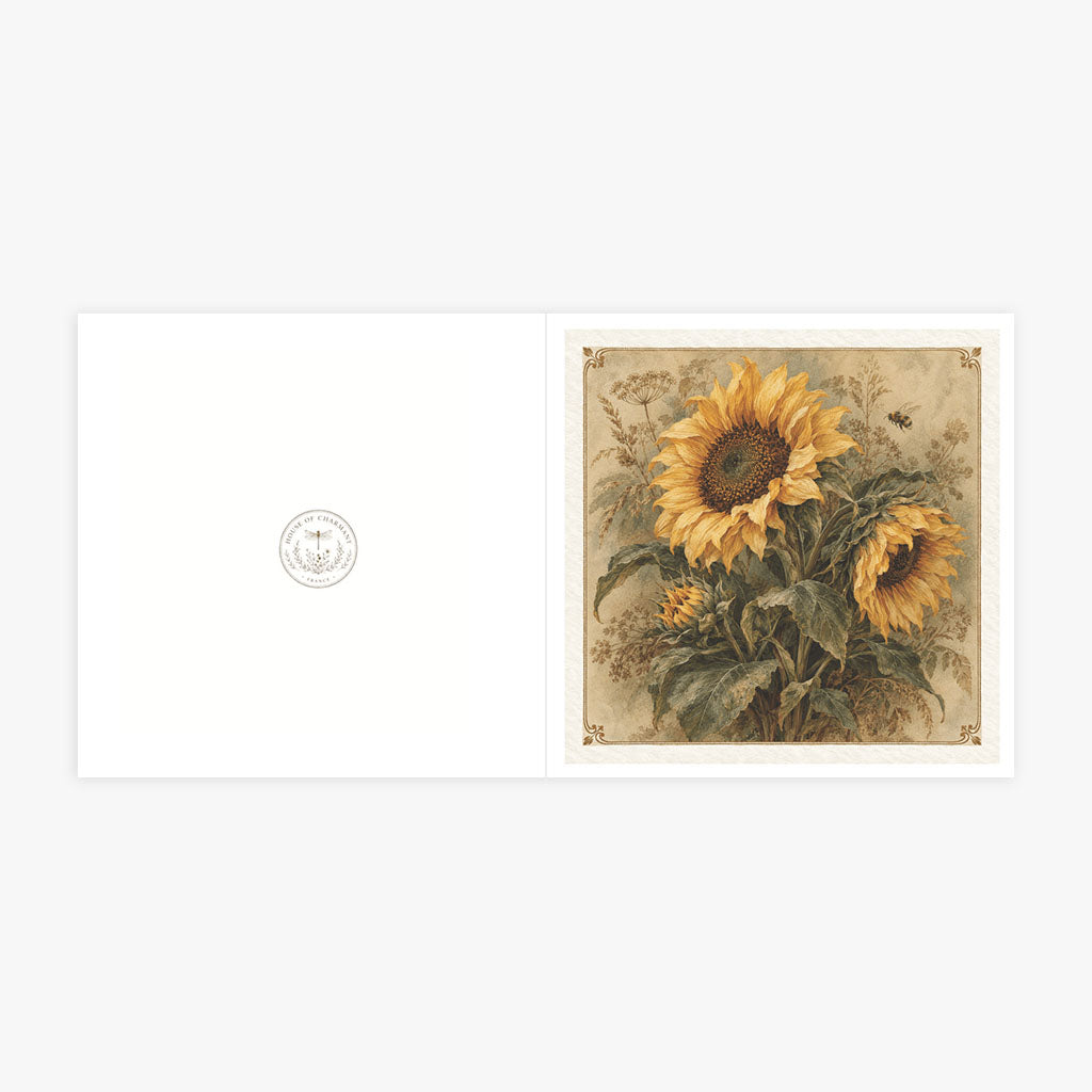 PP-GRE-6x6-ENVELOPE - Square Greetings Cards Mockup