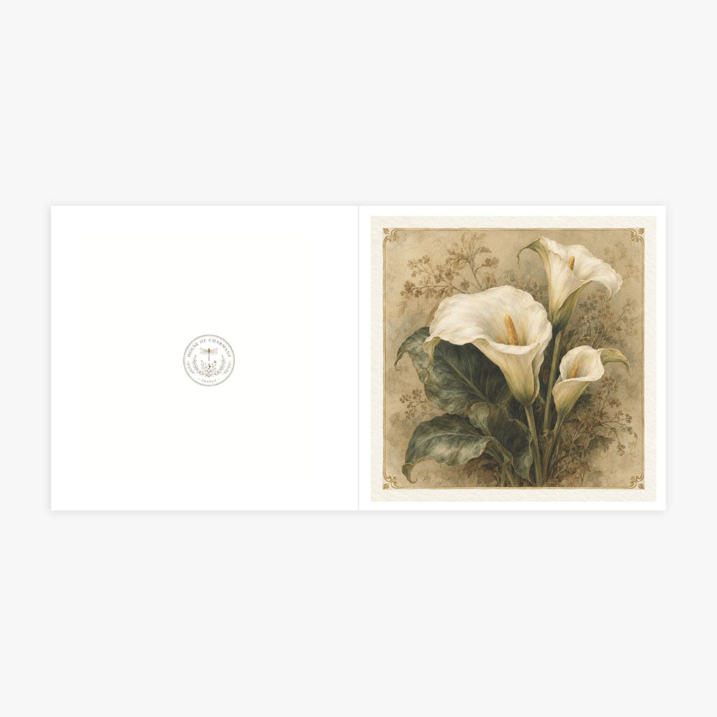 PP-GRE-6x6-ENVELOPE - Square Greetings Cards Mockup