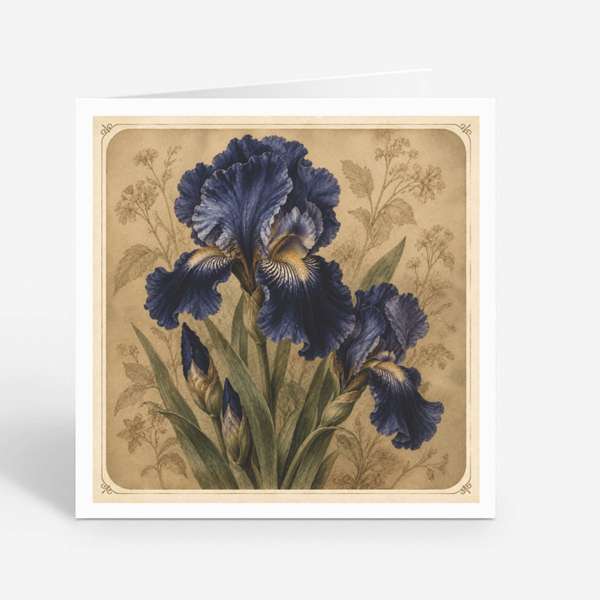 PP-GRE-6x6-ENVELOPE - Square Greetings Cards Mockup