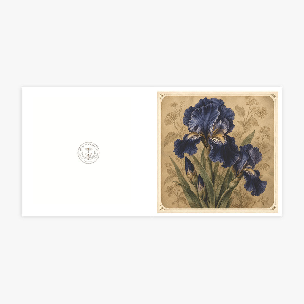 PP-GRE-6x6-ENVELOPE - Square Greetings Cards Mockup