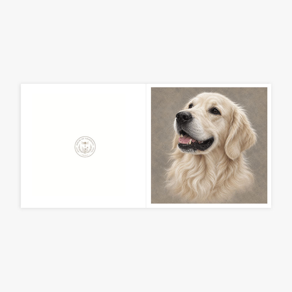 PP-GRE-6x6-ENVELOPE - Square Greetings Cards Mockup