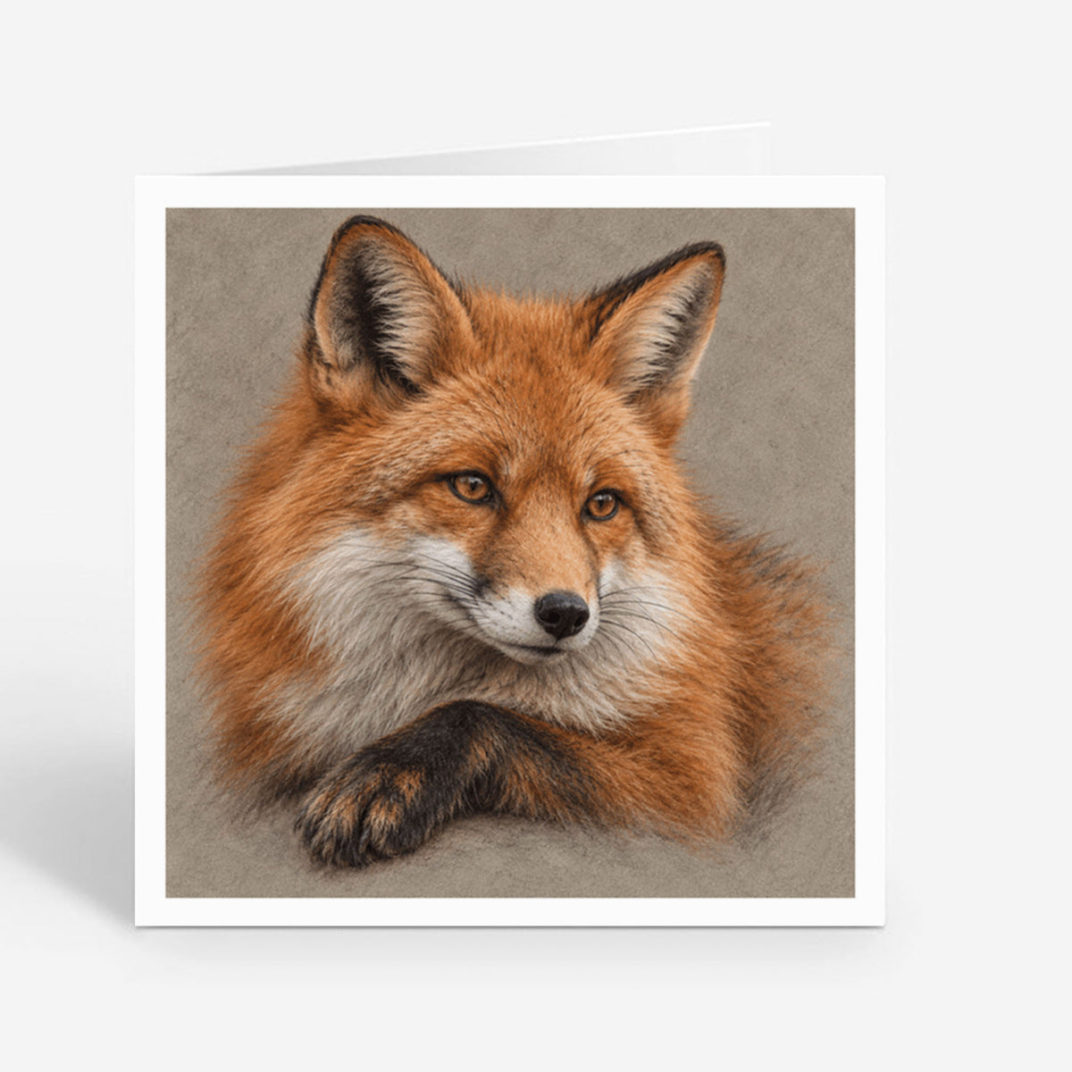 PP-GRE-6x6-ENVELOPE - Square Greetings Cards Mockup