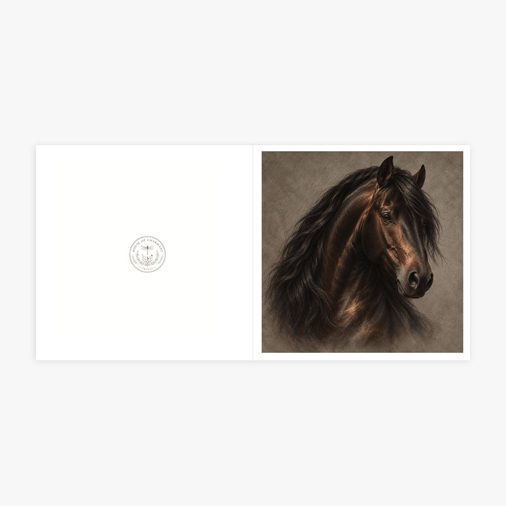 PP-GRE-6x6-ENVELOPE - Square Greetings Cards Mockup