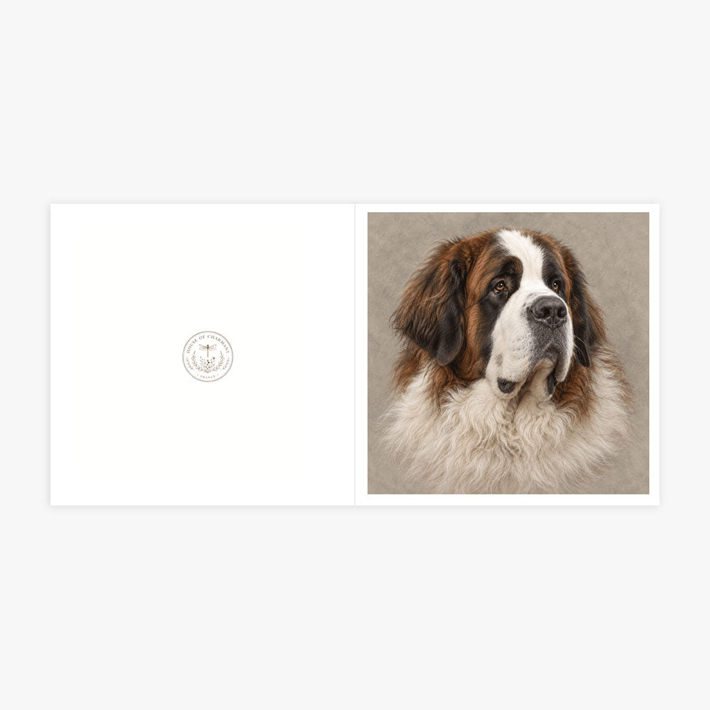 PP-GRE-6x6-ENVELOPE - Square Greetings Cards Mockup