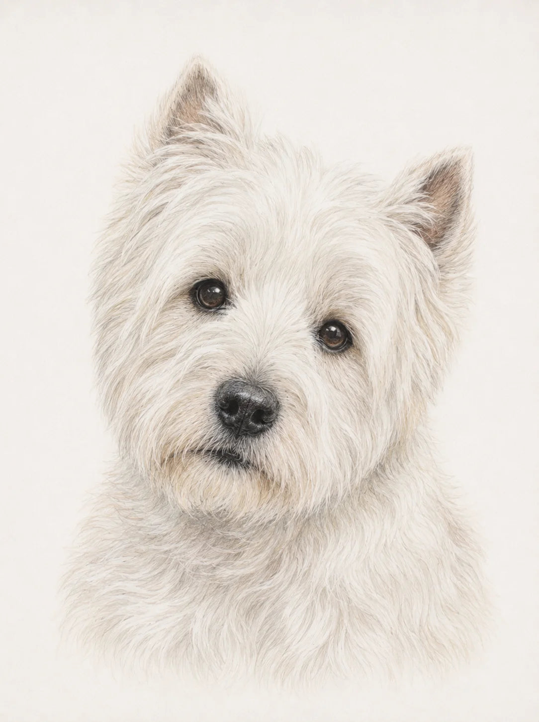 West Highland Terrier Greeting Card - Westie Dog Card - West Highland White Terrier - Dog Lover Card - Single Card or Pack of 5