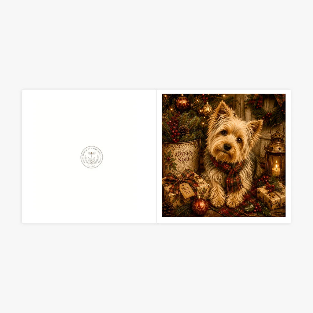 1788450186187-z5sgte9a5-1788449588991-6ewgvvp63-PP-GRE-6x6-ENVELOPE-4eb42141-802c-47df-b559-d9ed490c8701-mockup.jpg