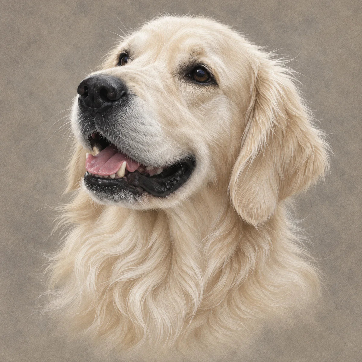 Golden Retriever Greeting Card from the Country Portrait Collection for Dog Lovers Available as a Single Card or Pack of Five